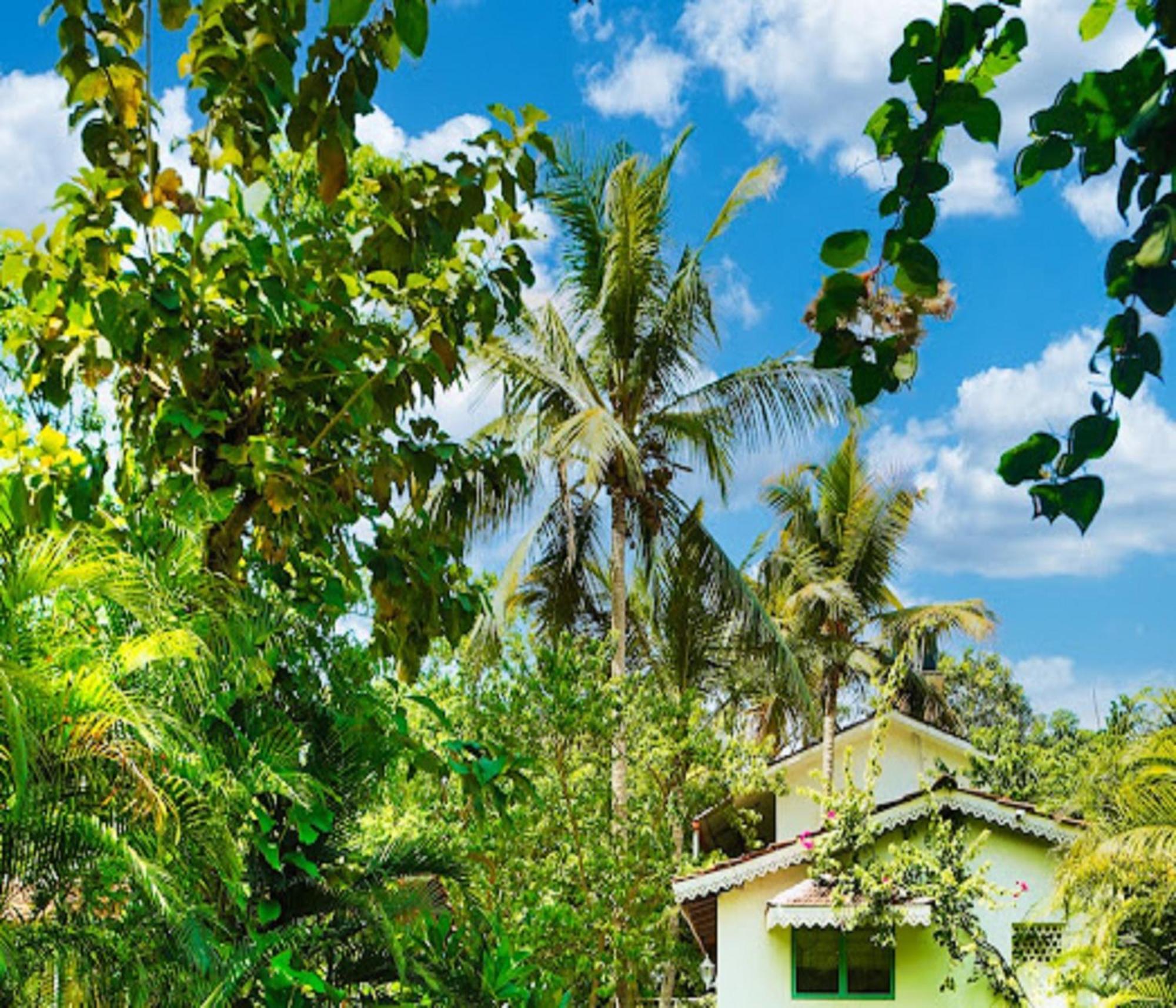 Lar Amorosa Boutique Hotel - Goa Calangute Εξωτερικό φωτογραφία
